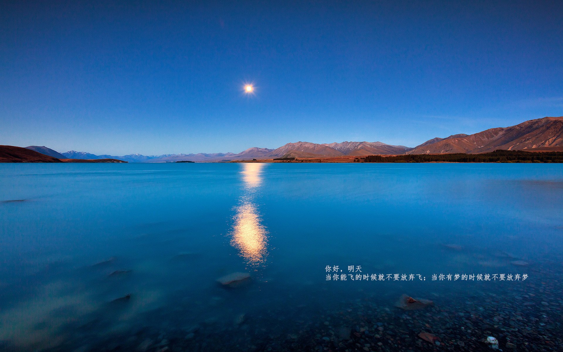 德甲多变战术带来无限可能，精彩场面不断涌现，德甲多特蒙德比赛直播