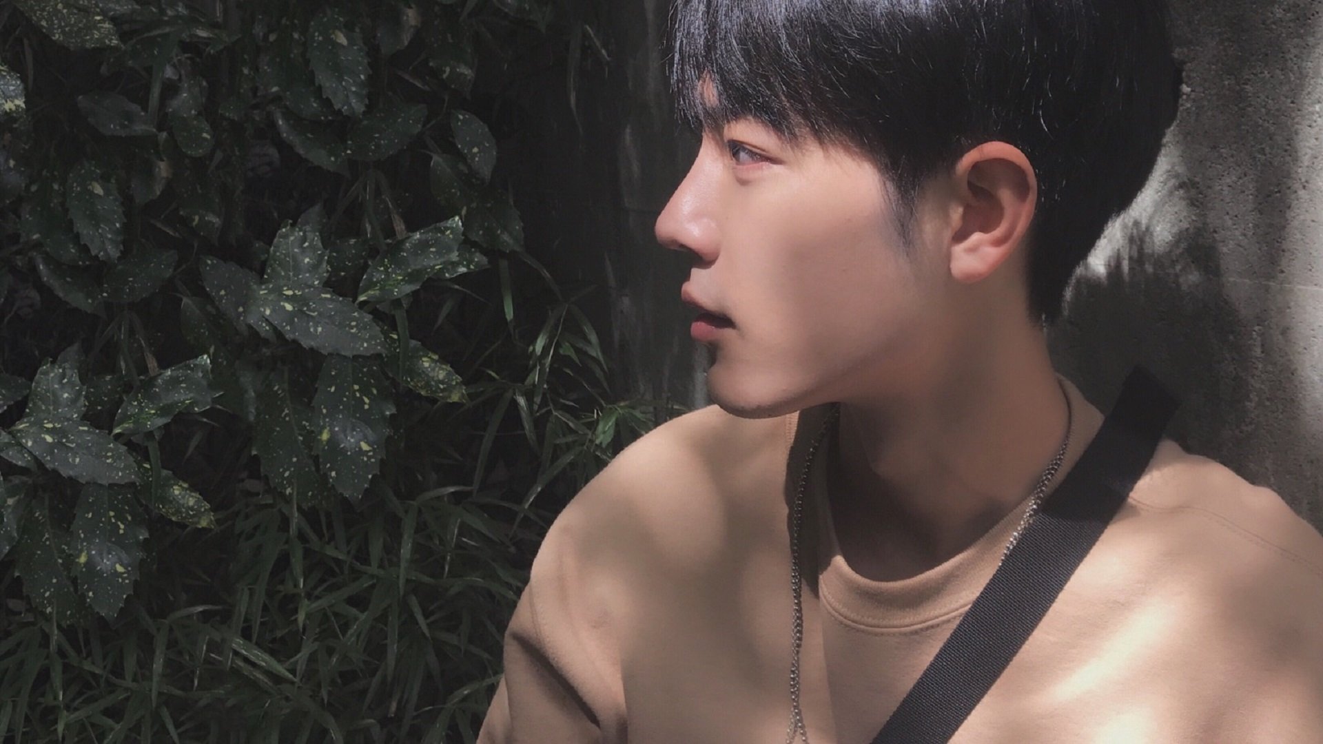 德甲多变战术带来无限可能，精彩场面不断涌现，德甲多特蒙德比赛直播